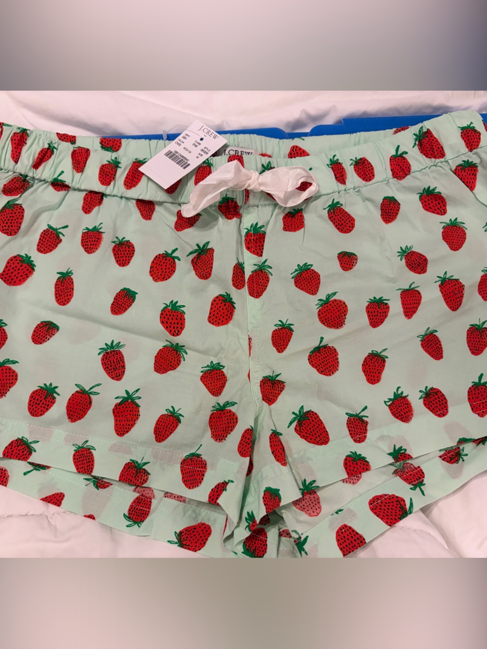 J. Crew Mint Green Strawberry Print Pajama Shorts
